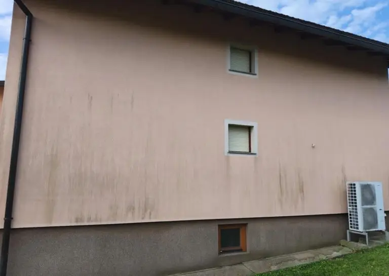 Umazanija na fasadi - alge in plesen