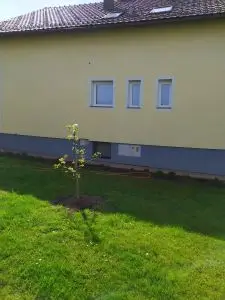 Čiščenje fasade s podjetjem SiPRO