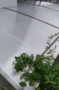 Čiščenje plehnatih in plastičnih delov hiše